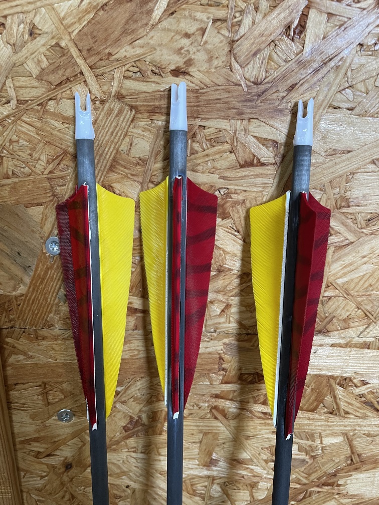 Carbonpfeil "Goldtip Warrior" mit 4" Naturbefiederung – Bild 3