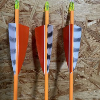 Komplettpfeil | SPHERE Lumos 4.2 - orange - Carbon - Naturfedern | Spine 1000