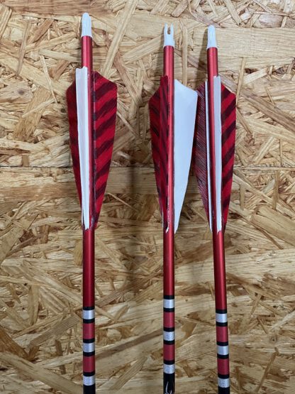 Komplettpfeil | SPIDERBOWS Raven.One KevTech - 6,2mm - Carbon - Spine 700
