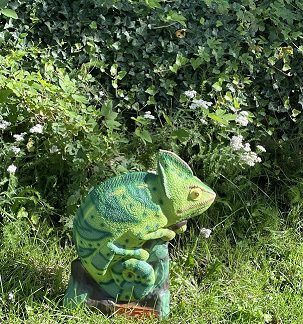 SRT Target 3D Chameleon Leon Green