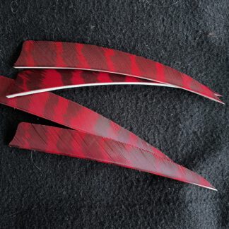 Feder RW Shield 5 Zoll Rot barred Ozark