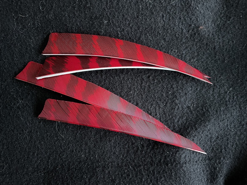 Feder RW Shield 5 Zoll Rot barred Ozark