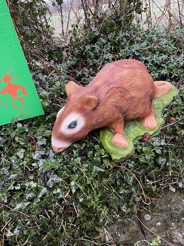 Ratte braun InForm3D