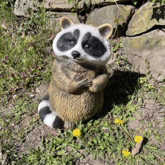 Waschbär stehend InForm3D