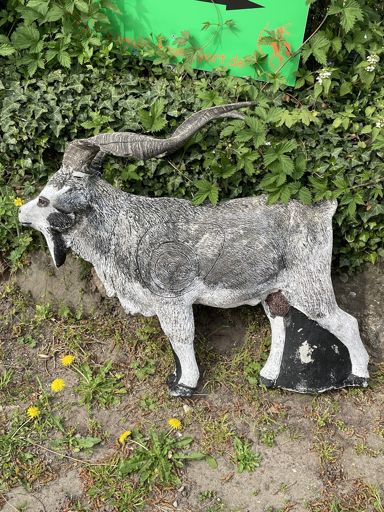 Wildcrete 3D Target - Ziege – Bild 2