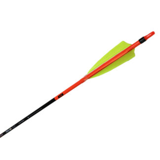 Shocq Komplettpfeil Pavo 6.2 mit Naturfedern, Nocke, Spitze, Länge 32''